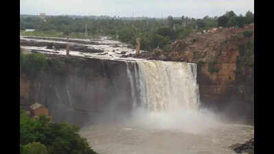 No response from Centre, state to go solo on ropeway project at Gokak Falls