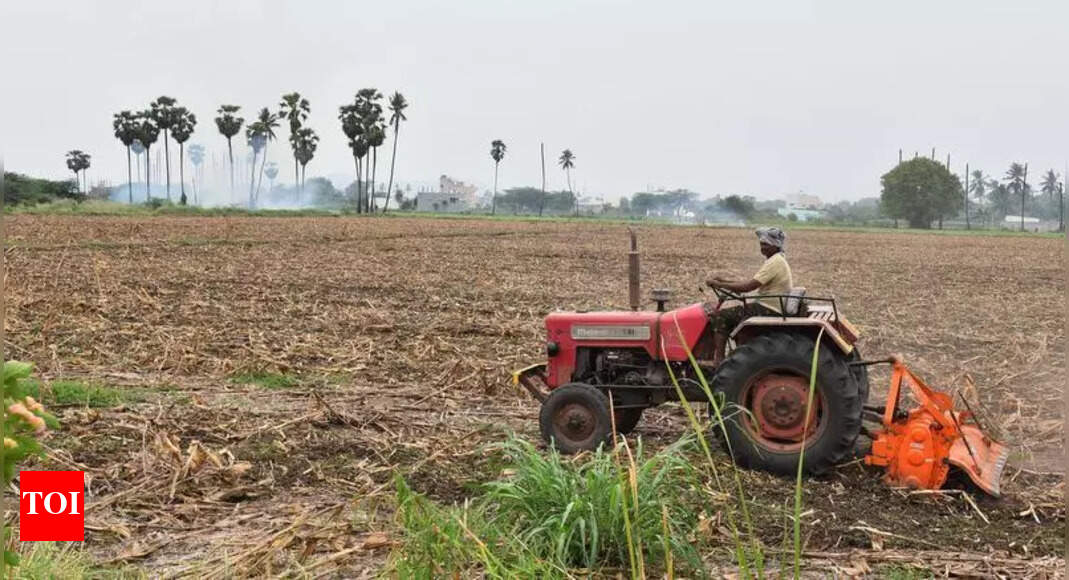 Kharif sowing picks up in Chamarajanagar district after recent rain ...