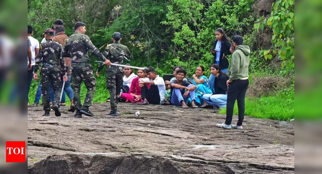 Bridge Collapse in Talegaon: Rescue Efforts Underway, Casualties Reported