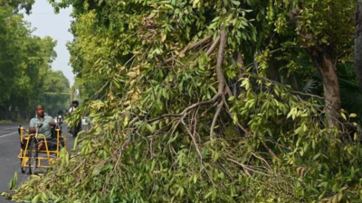  Storm stalls heat, leaves trail of damage; IMD issues yellow alert till June 19
