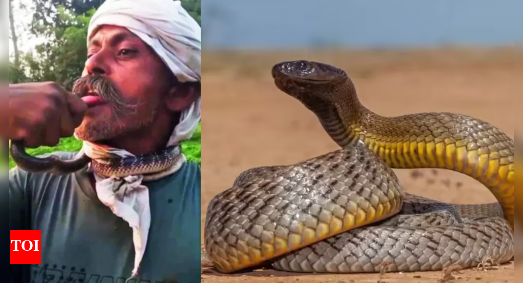 UP man tries to kiss snake for reel, gets bitten; in ICU
