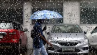  Heavy rain to batter Karnataka for 4 days; IMD issues red, orange, yellow alerts for 14 districts