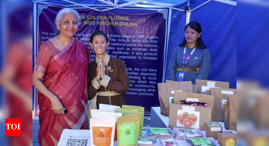 Ladakh Gets a Boost: Sitharaman Unveils Key Development Projects for Inclusive Growth