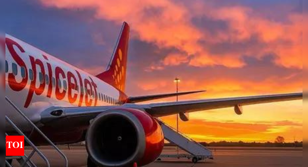 SpiceJet shares soar: Airline shares jump 5% on BSE; driven by 173% YoY PAT rise in Q4