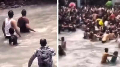  Snake in Mussoorie’s Kempty Falls shocks tourists– video goes viral