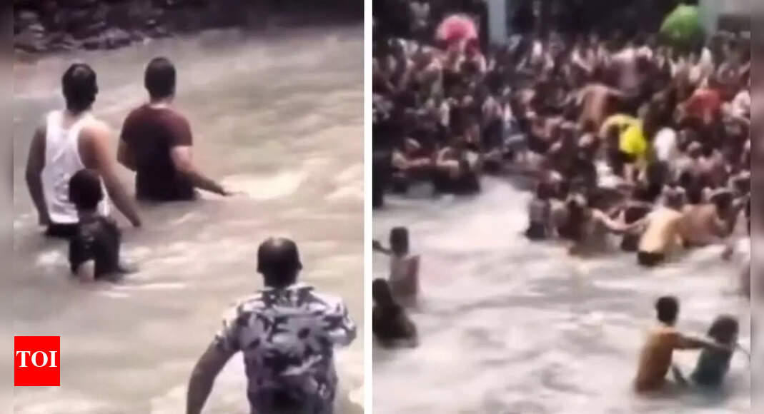 Watch: Snake in Mussoorie’s Kempty Falls shocks tourists– video goes viral