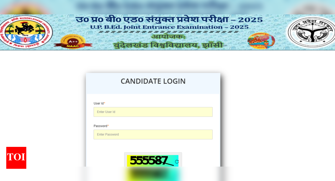 UP BEd result 2025 declared: Direct link to download scorecards here