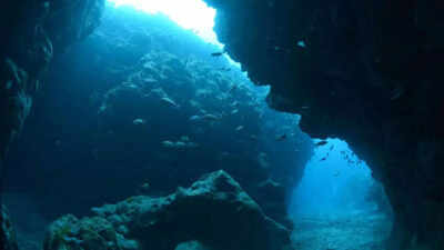 Unique, rare Earth elements unveiled on an underwater island; here’s what it means for the future