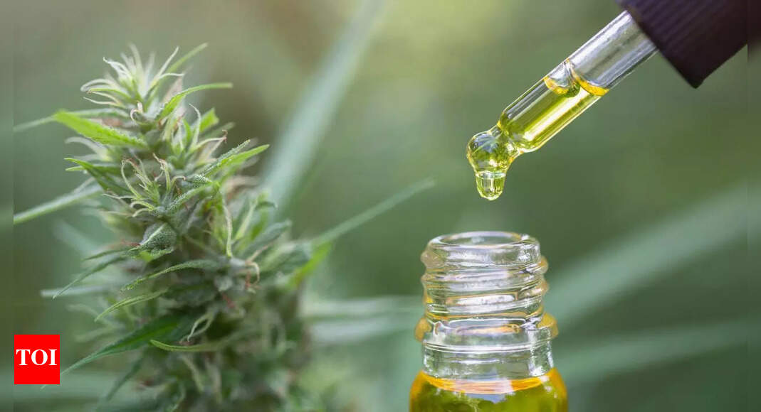 What is CBD oil: Know its health benefits, uses, and scientific backing behind the cannabinoid trend
