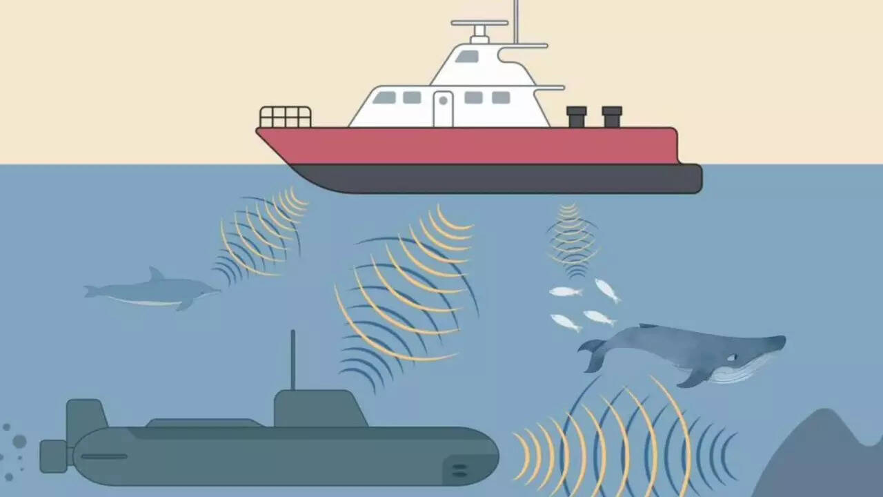 What Causes Noise Pollution In The Ocean