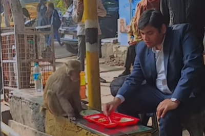  Unexpected guest steals food, but this man’s reaction is winning the internet