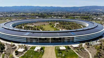 'Silicon Valley will become an idiot valley': Maga activist has given school education to demand reservation for American citizens in technical jobs