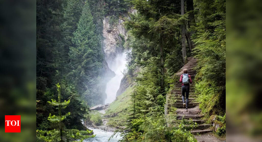 'Rediscover Canada': Ottawa unveils 'Strong Pass' for free park, museum entry; aims to boost tourism