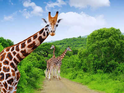  Why South Africa should be your next travel destination