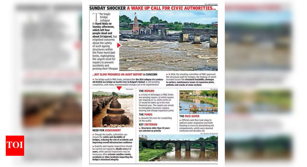 article preview