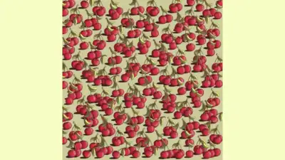 Optical Illusion: Only the one with the sharpest eyes can spot the tomato among cherries