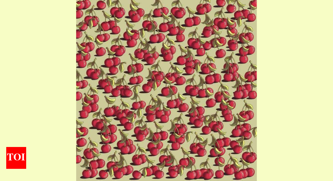 Optical Illusion: Only the one with the sharpest eyes can spot the tomato