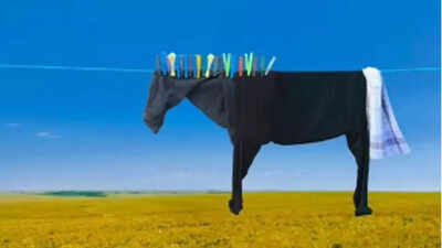 Optical illusion personality test: Horse or clothes?