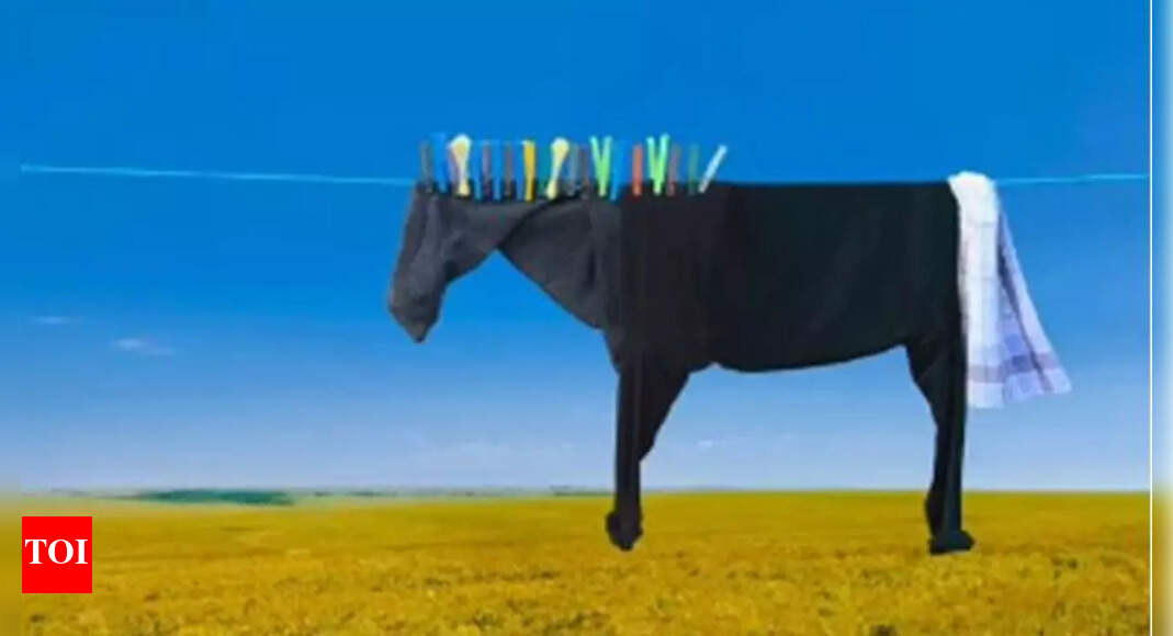 Optical illusion personality test: Horse or clothes? What you spot first reveals if you are carefree or too careful