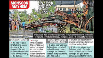 Heavy rain triggers tree falls, injures two & damages homes