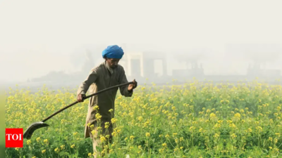  Chilakaladona farmers get compensation; 26 paid, others to follow