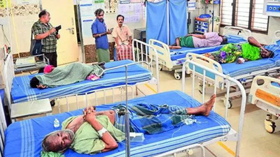 70-year-old woman dies after suspected poisonous bite in Karnataka; police register case