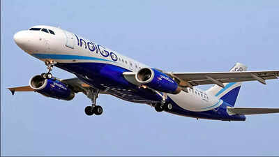 IndiGo flight faces technical glitch at Raipur airport, passengers including former CM, mayor stuck for 40 minutes