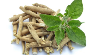 Can Ashwagandha really help alleviate stress and anxiety in today’s fast-paced world?