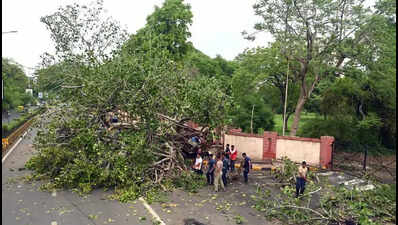 Ahmedabad receives 4mm rain as rainfall continues across Gujarat