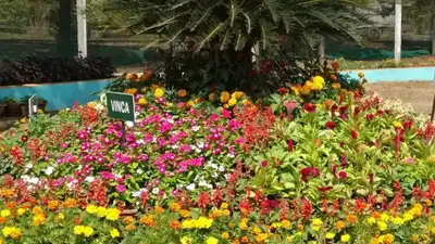 Telangana horticulture boost: University ties up with US; student exchange, farm research planned