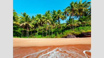 Tourism dept seeks action over illegal sand extraction at Varca