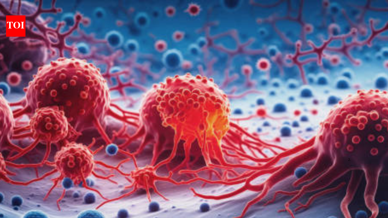 Cancer Causing Food: 5 foods that have maximum amount of cancer-causing ...