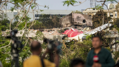 Air India plane crash: Bird-attracting sites near airports must be closed, demands animal rights group while flagging past data of Delhi, Mumbai and Ahmedabad