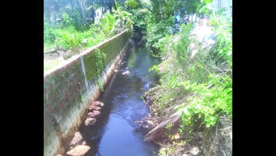 Toxic waste fouls water bodies at Agasaim, but fish mortality not assessed by officials