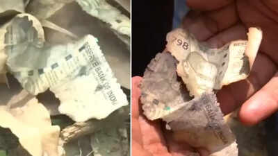 Liquor fuelled fire at judge's house that burnt cash: Report