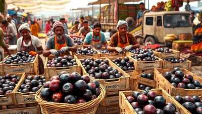 This is an AI-generated image, used for representational purposes only. India sends first-ever fresh Jamun consignment from Karnataka to London