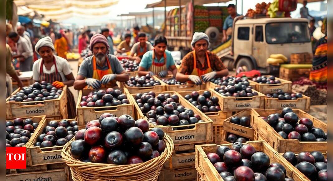 India sends first-ever fresh Jamun consignment from Karnataka to London