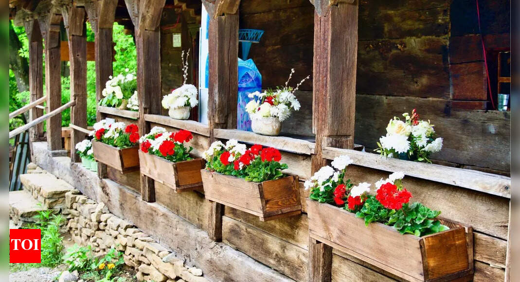 10 creative planter ideas to add a unique touch to your garden