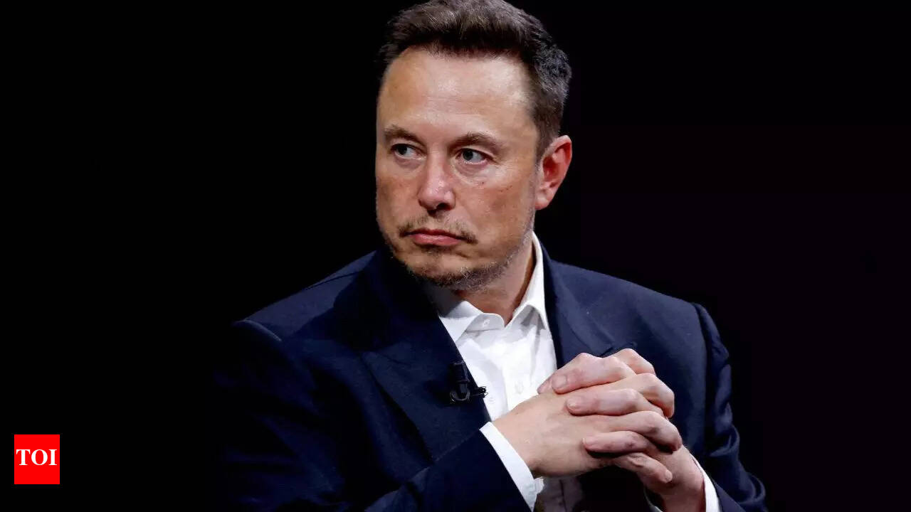 Elon Musk on when he just wanted a job at Netscape and was