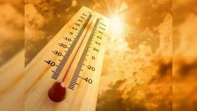  What you should (and shouldn’t) drink during a heatwave