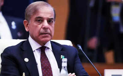 'Must be an embarrassment’: Defence secretary's jibe at Shahbaz Sharif over Trump-Munir lunch; warns of China-Turkey nexus
