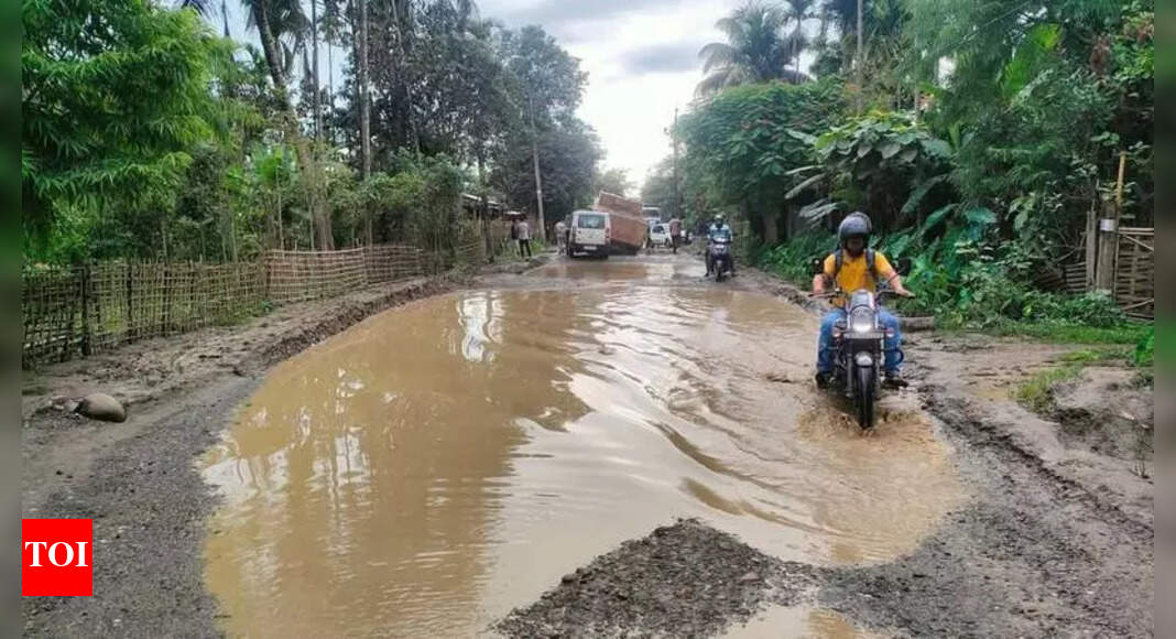 Historic Dhodar Ali Road in shambles amid govt apathy | Guwahati News ...