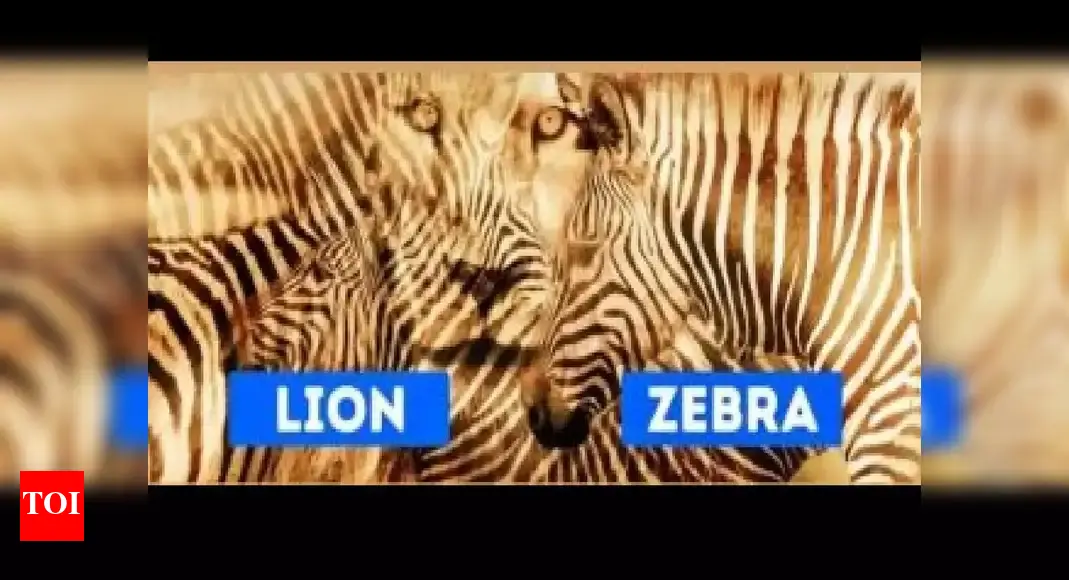 The animal you spot first reveals if you are shy or outgoing