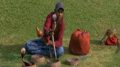 Bizarre! Fan shows up with two cobras and a monkey during Test match - viral moment