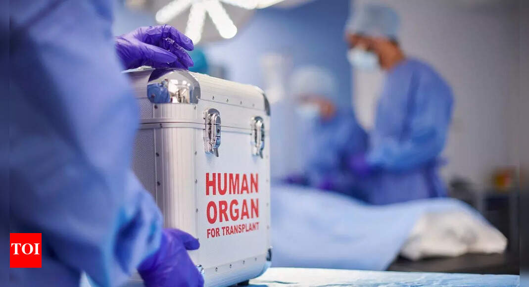 Kidney transplant turns dangerous after parasite found in donor organ Kidney transplant turns dangerous after parasite found in donor organ