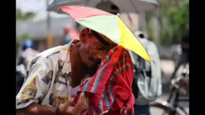  Mild temperatures, rain expected