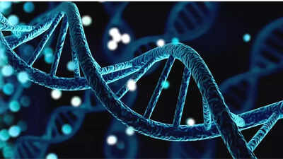 Scientists may have found a way to extend lifespan without strict dieting; here’s what the research shows