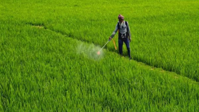 Agrochem market may hit $14.5 bn by FY28; herbicide exports jump; sector set for 9% CAGR: Report