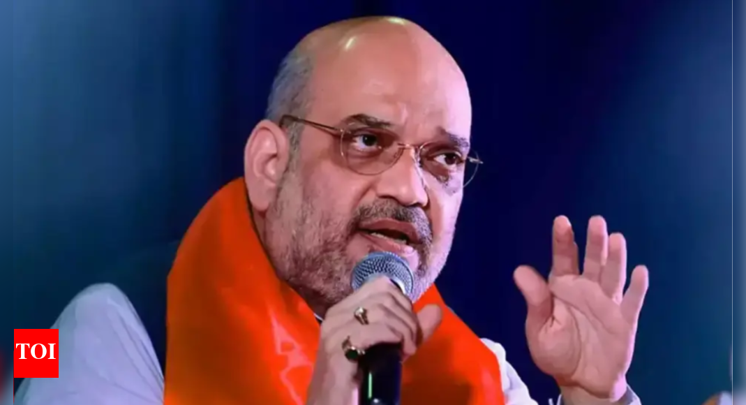 'Won't let them sleep': Amit Shah's monsoon mandate for operation against Naxalism