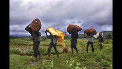 Monsoon slow in south interior districts, batters coast, Malnad